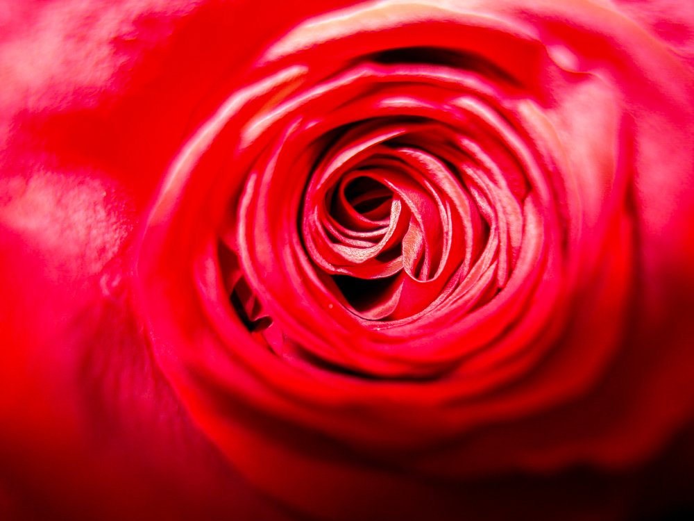 Photograph by Aurelie Crisetig