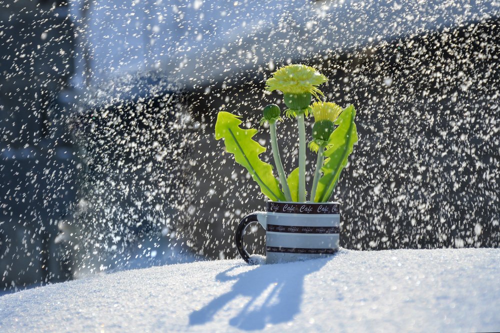 Photograph by Pavel SidorOFF