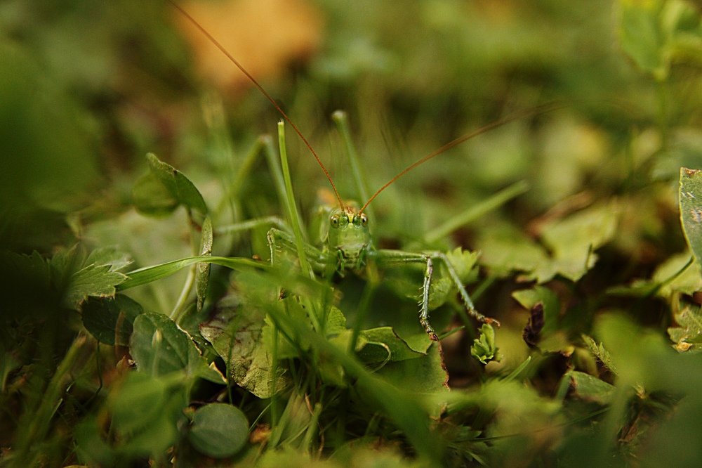 Photograph by Станислав Напалкин