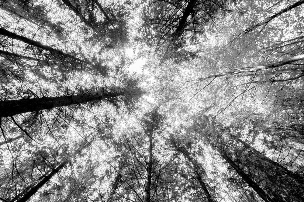 Photograph by Aurelie Crisetig