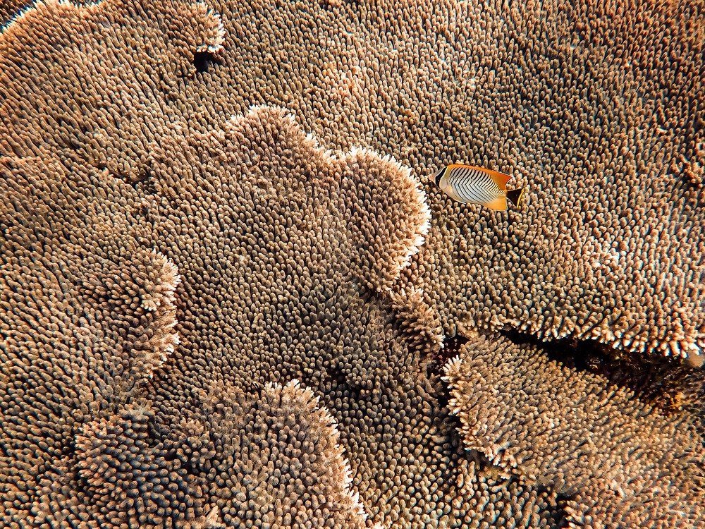 Photograph by Светлана Юдина