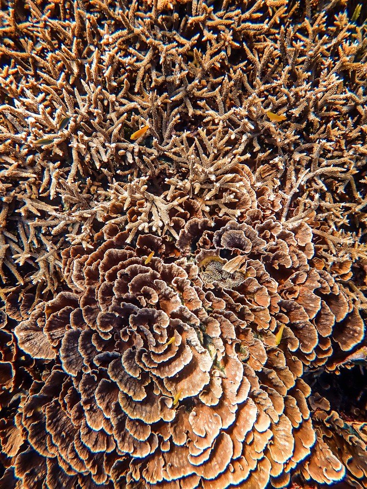 Photograph by Светлана Юдина