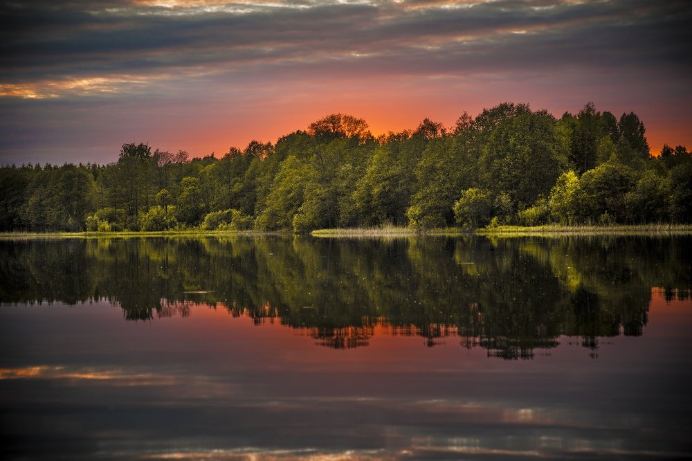 Photograph by Станислав Напалкин