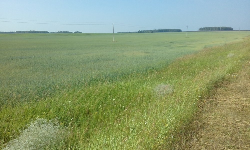 Photo #3739988