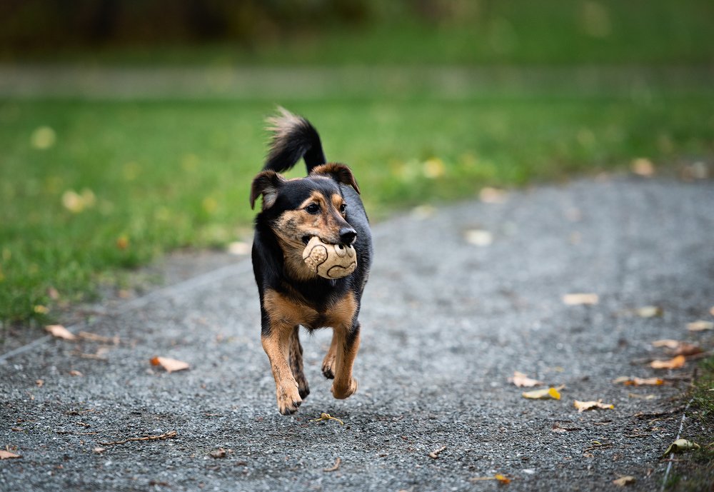 Photograph by Юлия Борт