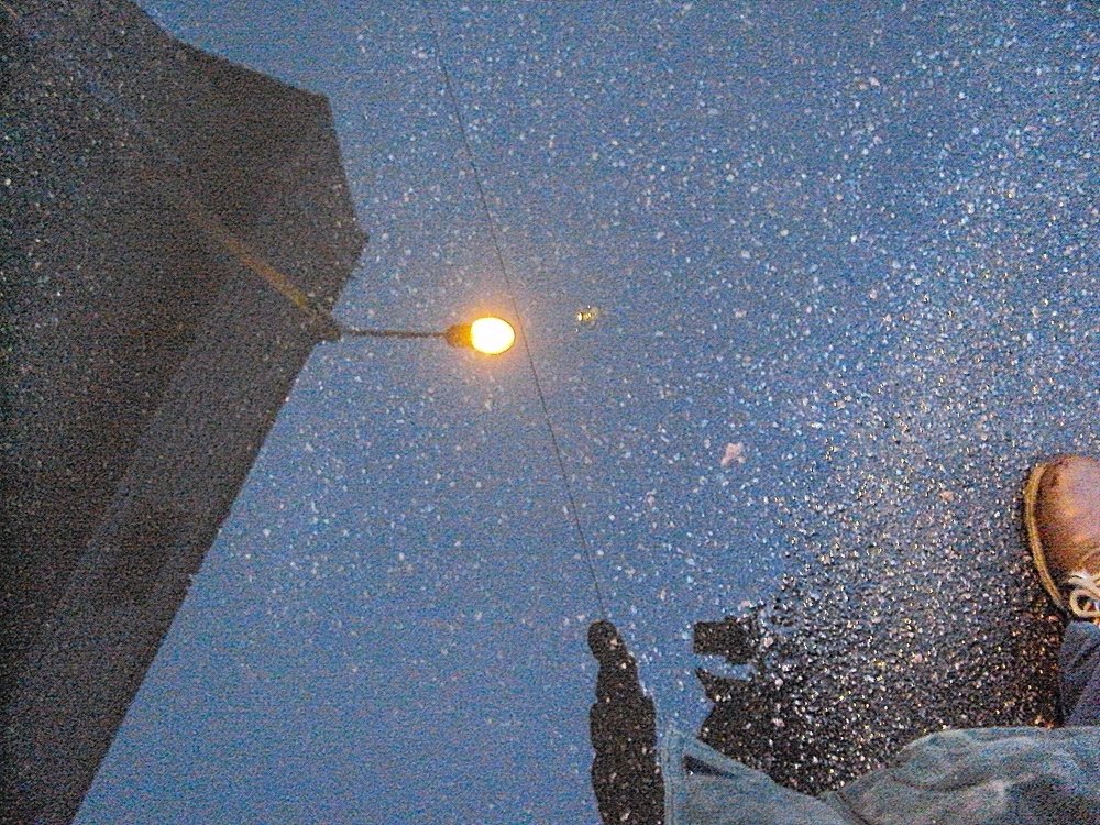 Под ногами тоже мир