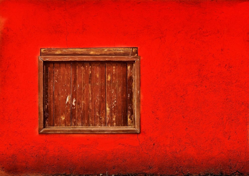 Photograph by Celina CelyTessy