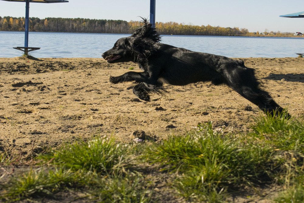 Photograph by Дмитрий Карташов