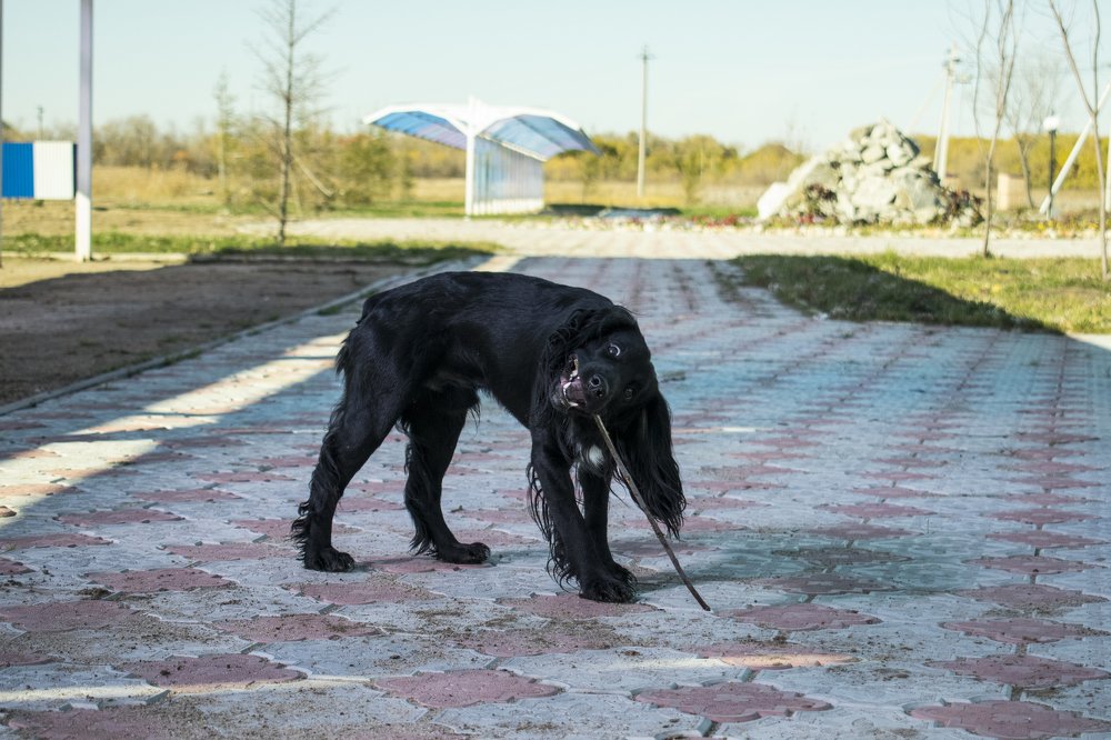 Photograph by Дмитрий Карташов