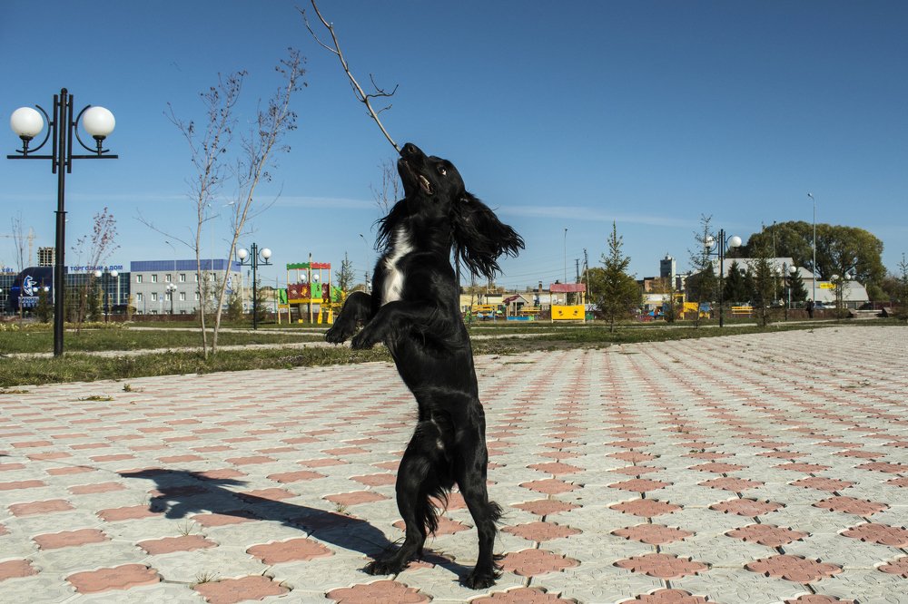 Photograph by Дмитрий Карташов