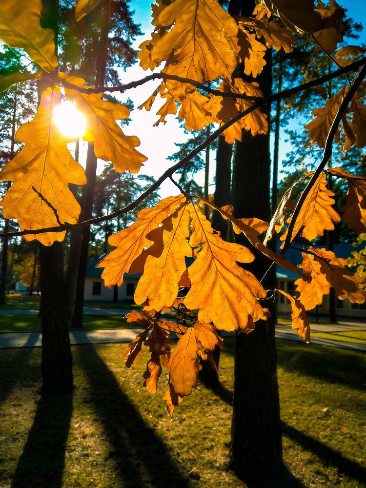 Photograph by Виталий Головащенко