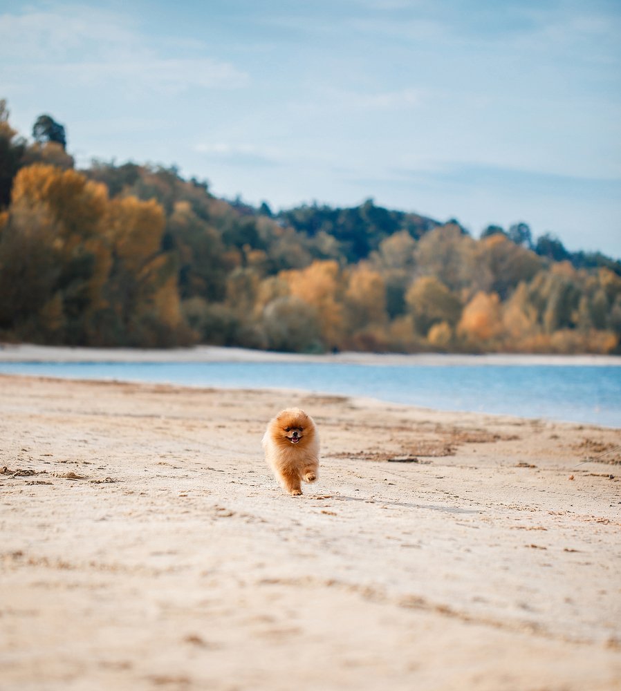 Photograph by Kristina Shavratskaya