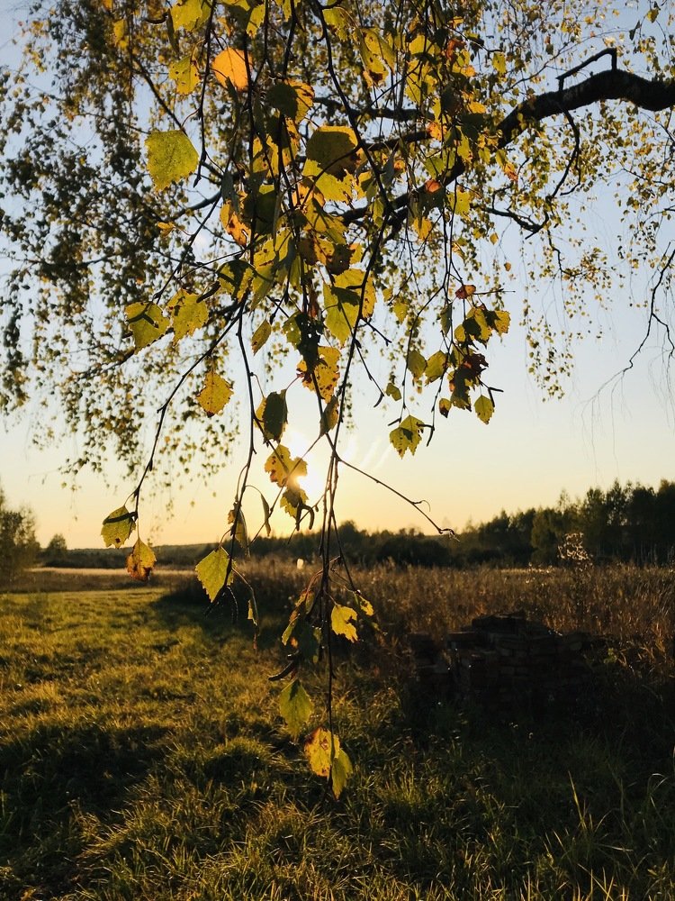 Photograph by Екатерина Артемова