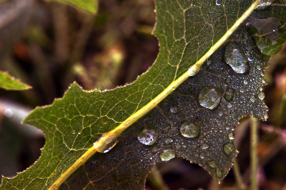 Photograph by Юлия Старкова