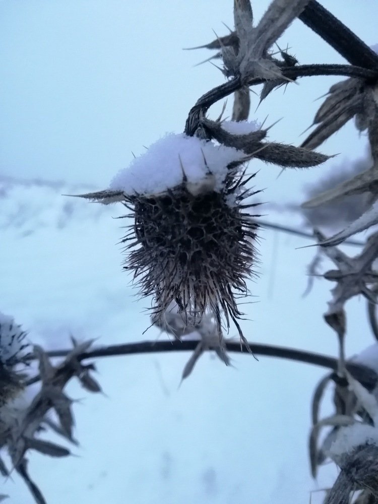 Photograph by Надежда