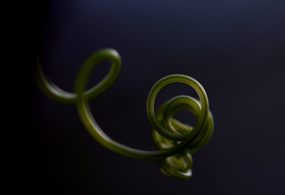 Photograph by Юлия Старкова