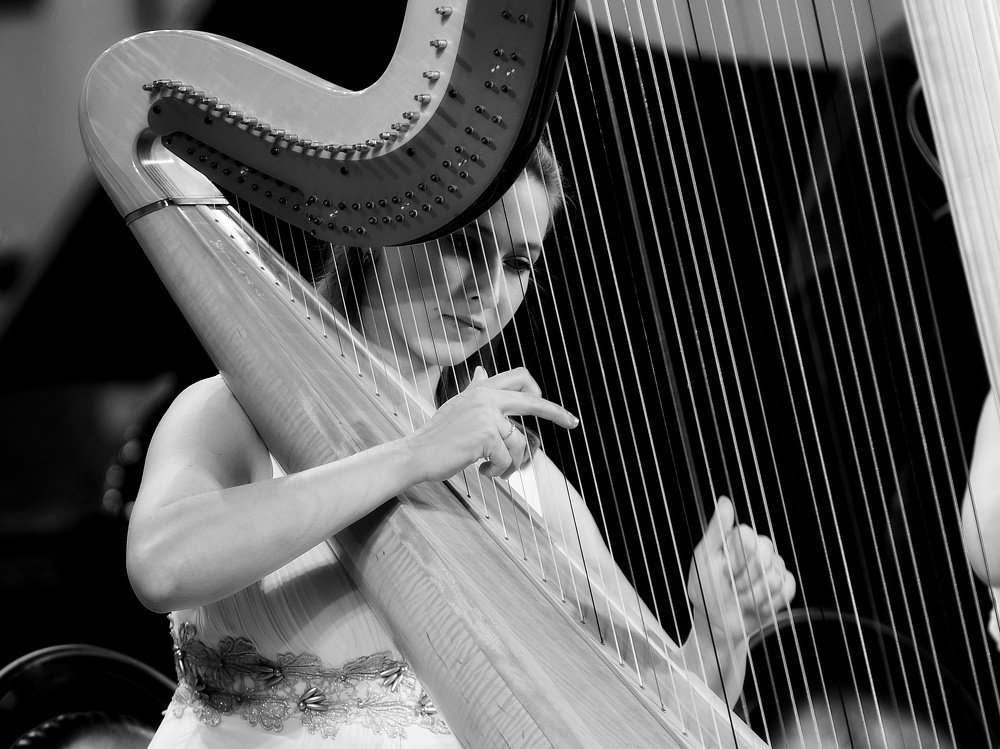 Волшебные звуки арфы