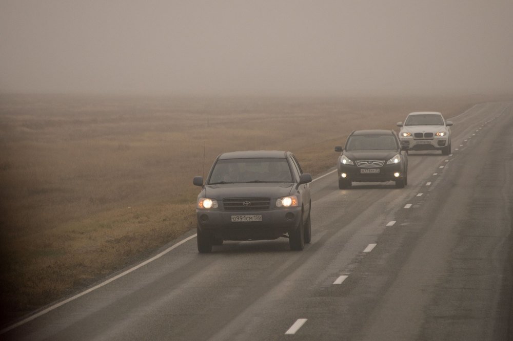 Photograph by Елизавета Аврамова