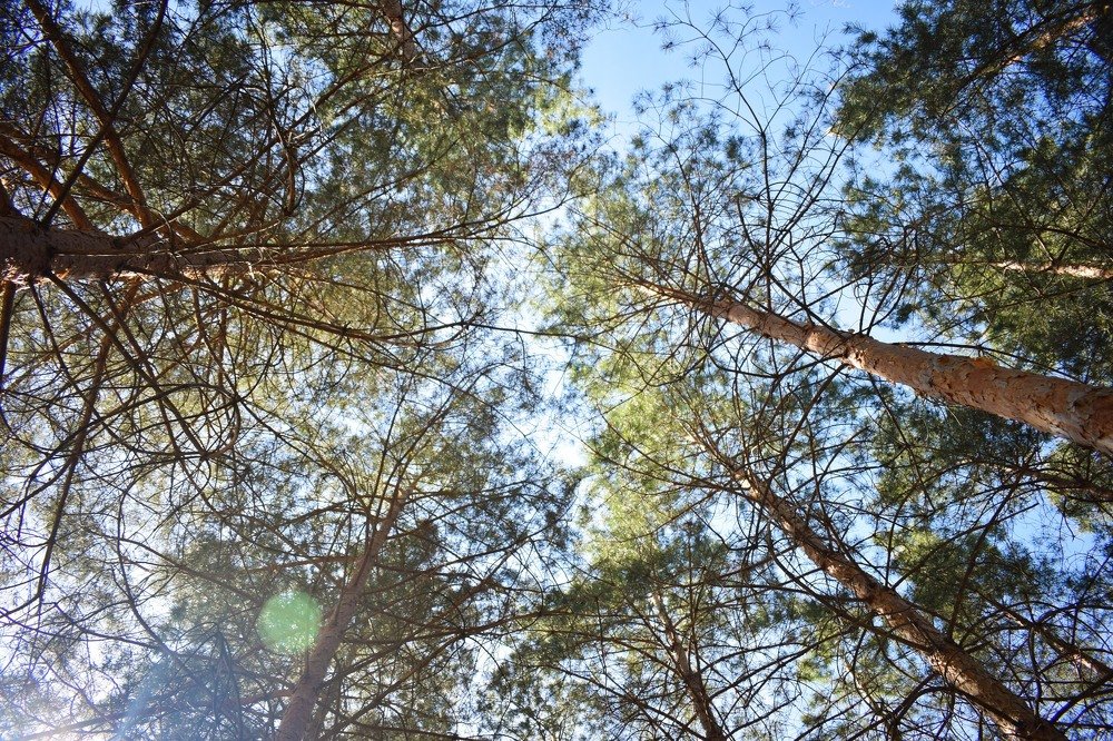 Photograph by Елизавета Аврамова