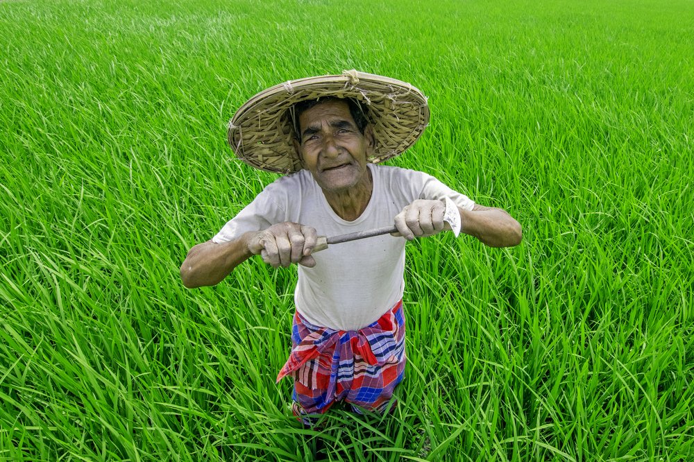 Photograph by Arindam Das