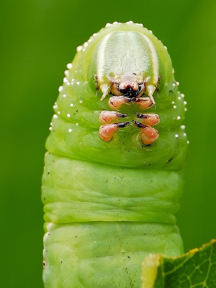 Photograph by Ananta Ghosh