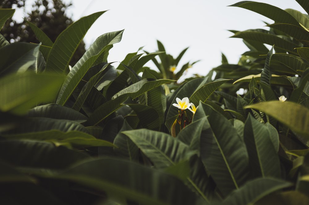 Photograph by Сергей Хмелевский