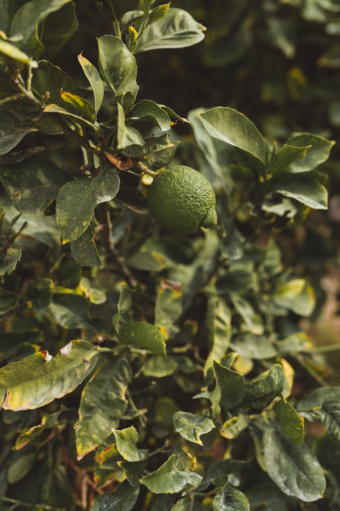 Photograph by Сергей Хмелевский