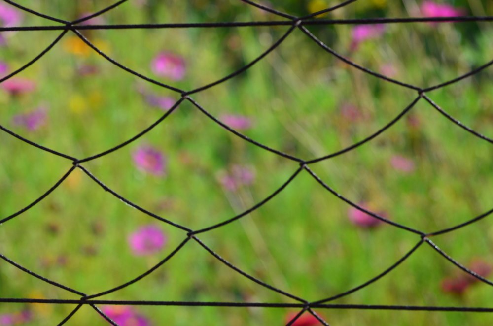 Photograph by Анна Еремеенкова