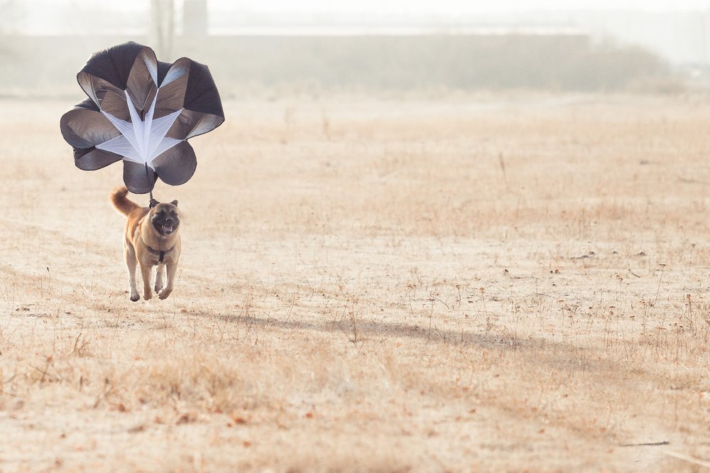 Photograph by Александр Нифанин