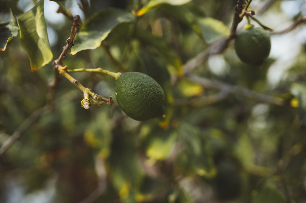 Photograph by Сергей Хмелевский