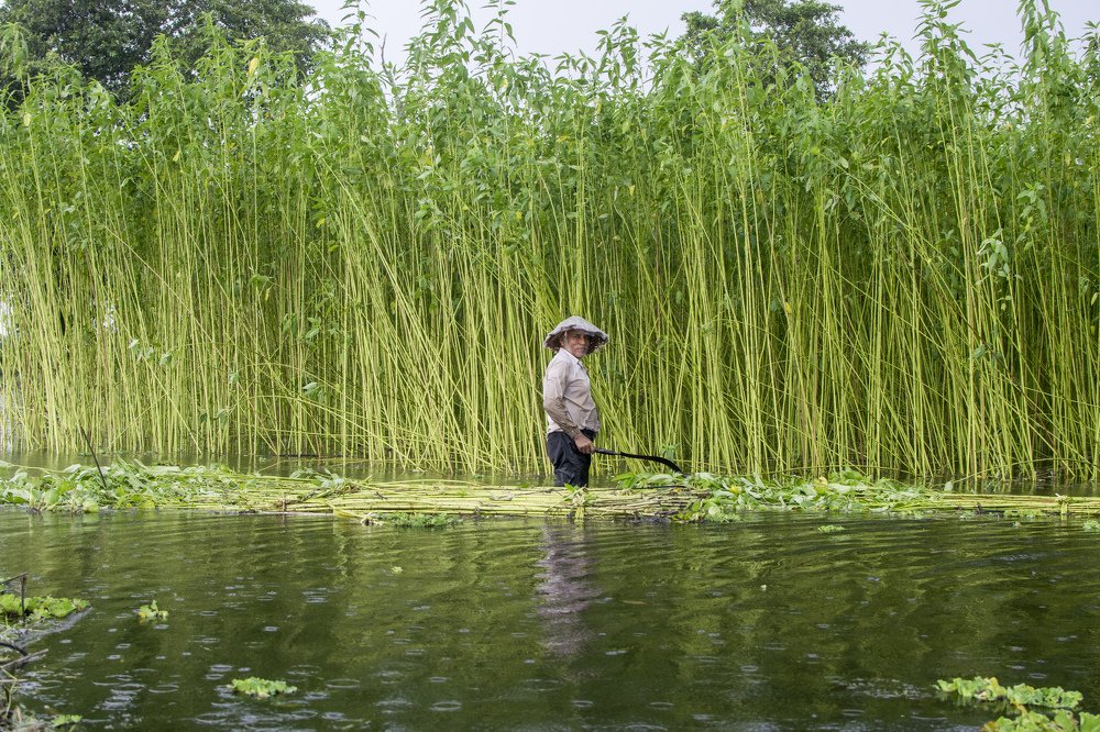 Photograph by Arindam Das