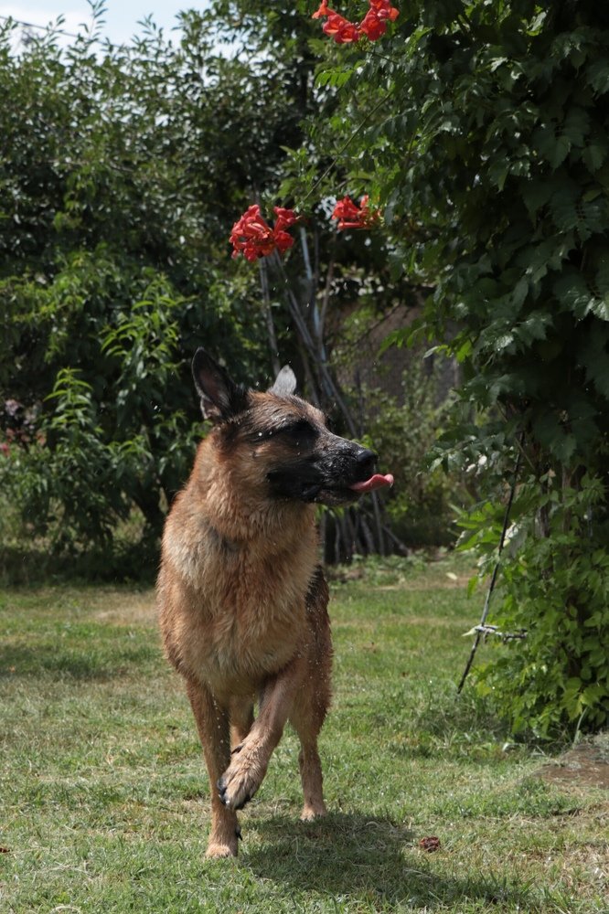 Каникулы