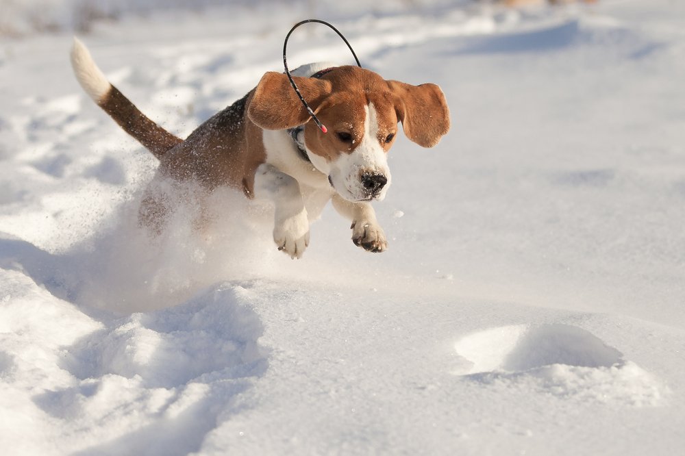 Photograph by Александр Нифанин