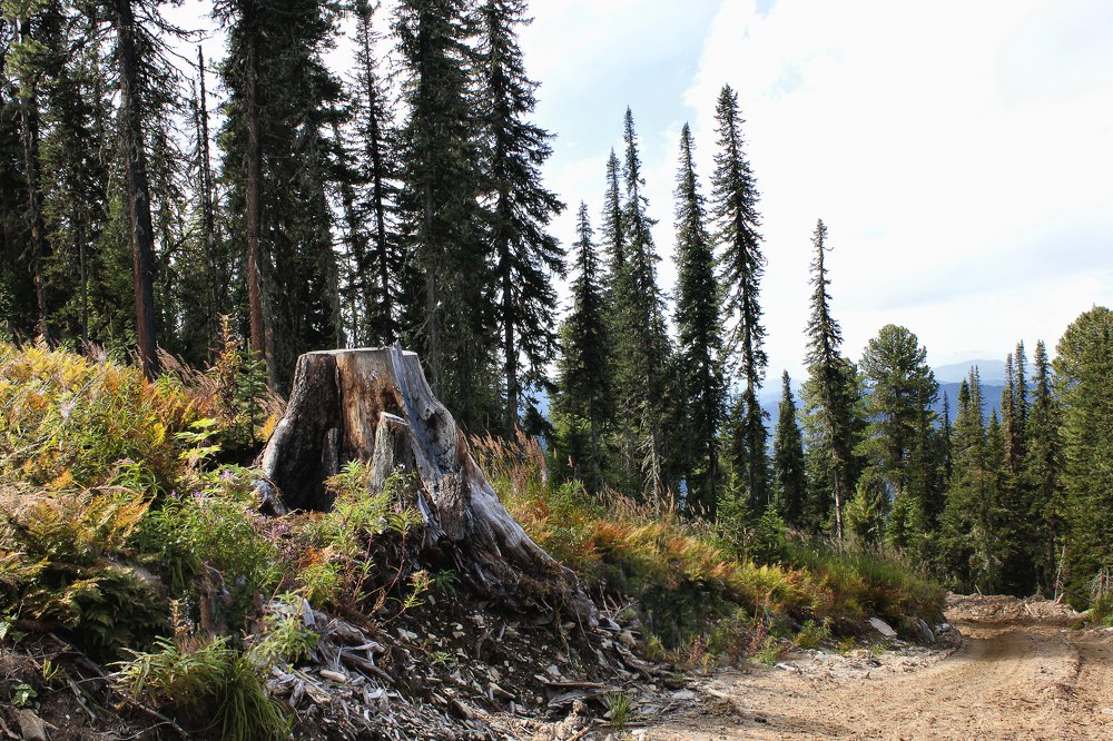 Photograph by Лев Марков