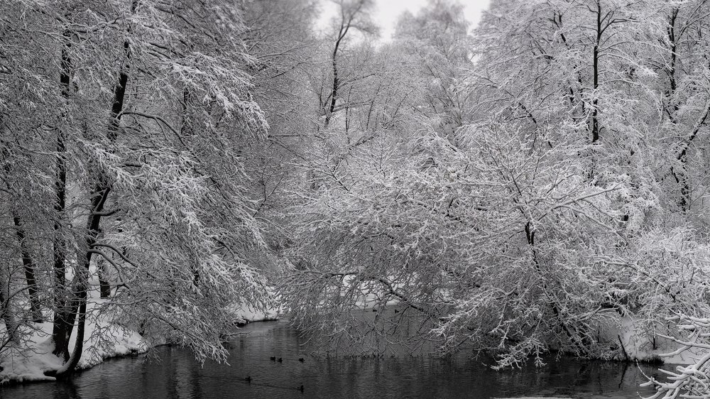 В царстве снега