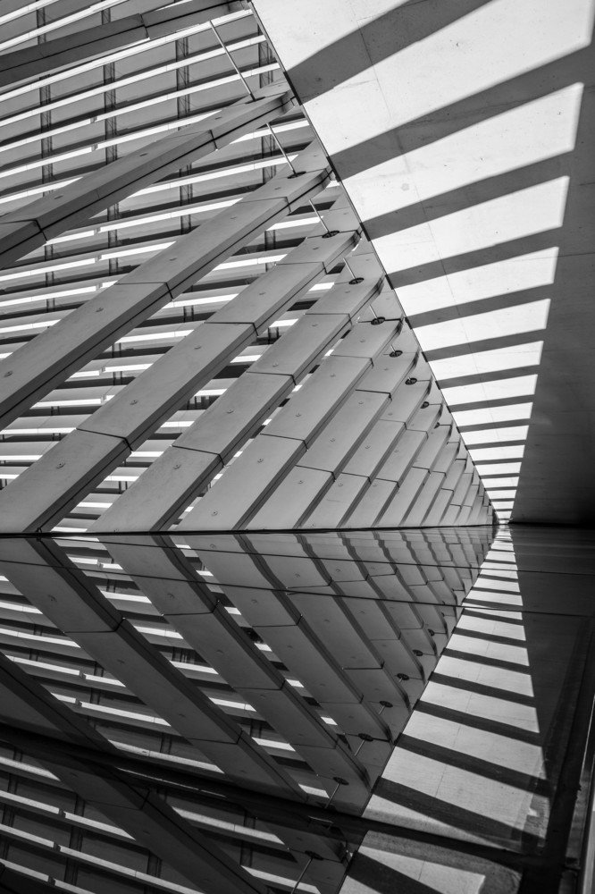 Фотография автора  Роман