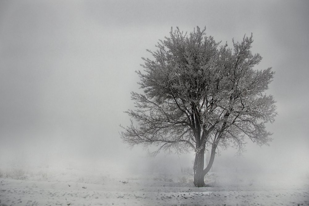 Photograph by abdolmoeed (hiwa) Maroufi