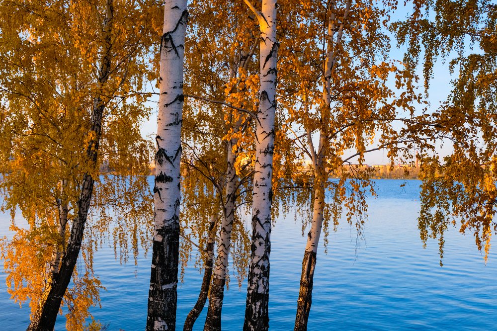 Photograph by Елена Рянцева