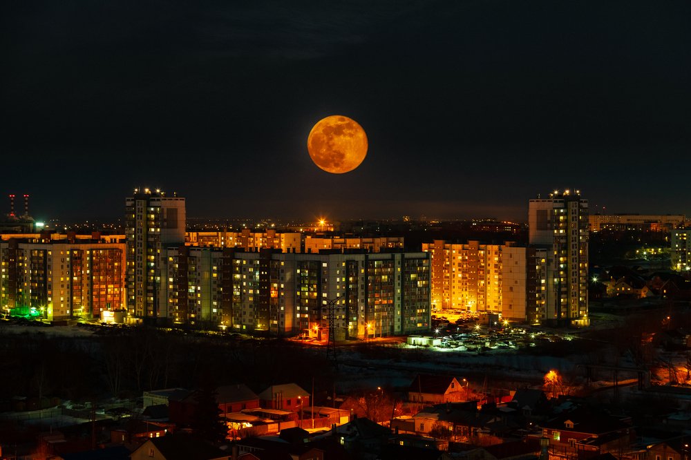 Photograph by Александр Нифанин