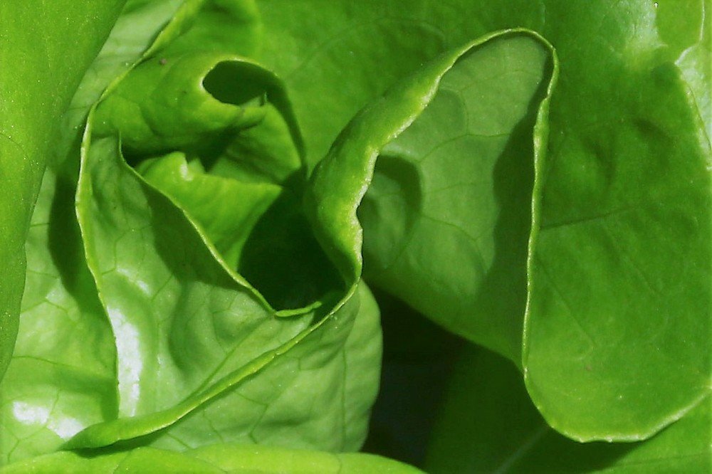 Photograph by Lucia Alvarez Rilla