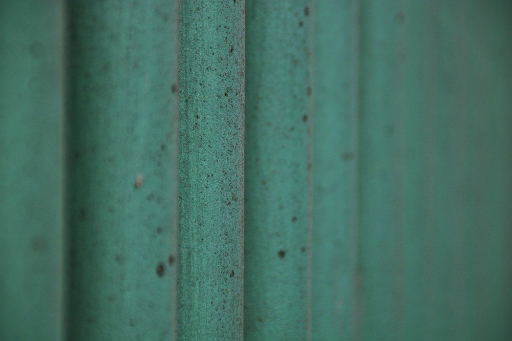 Photograph by Lucia Alvarez Rilla