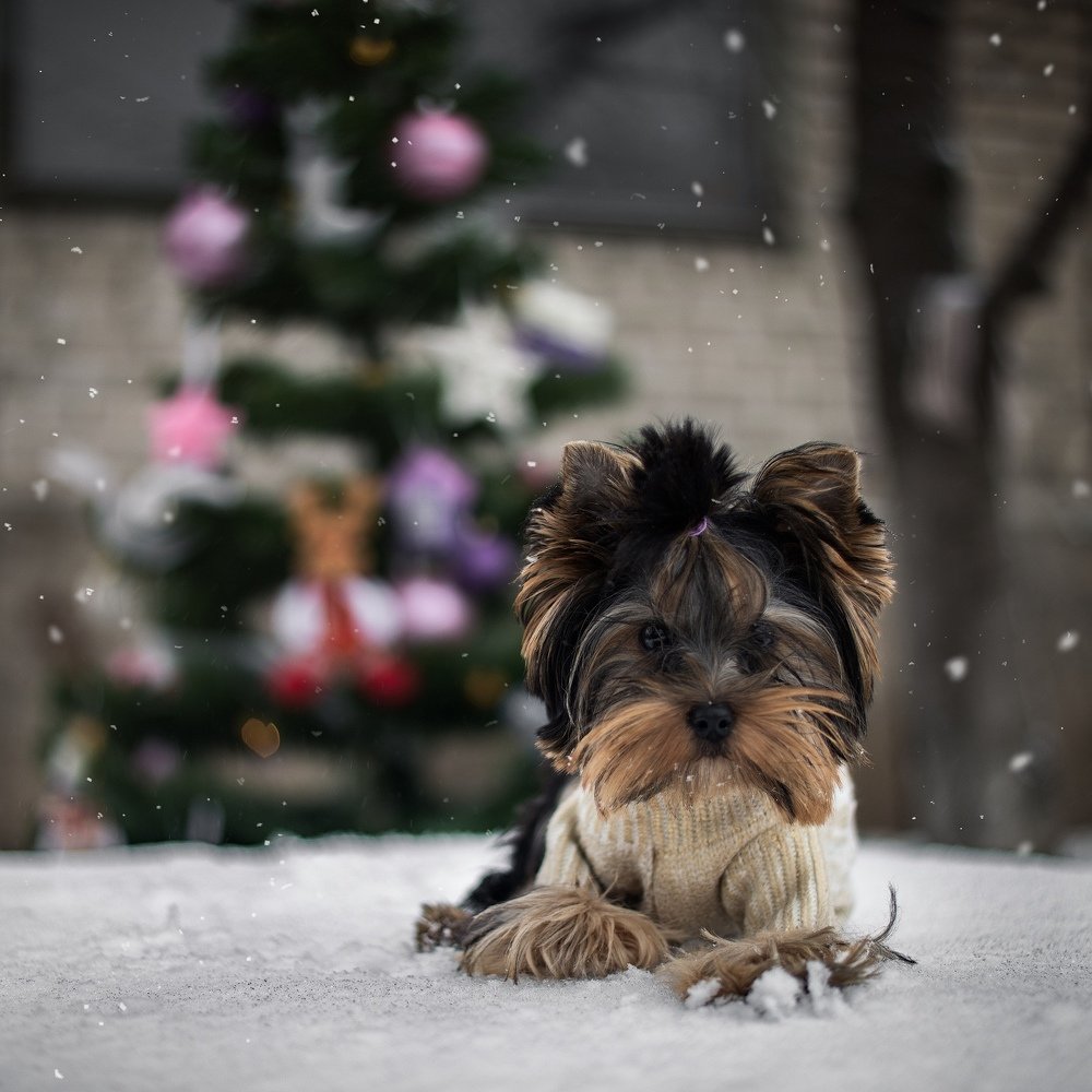 Photograph by Дарья Терещенко