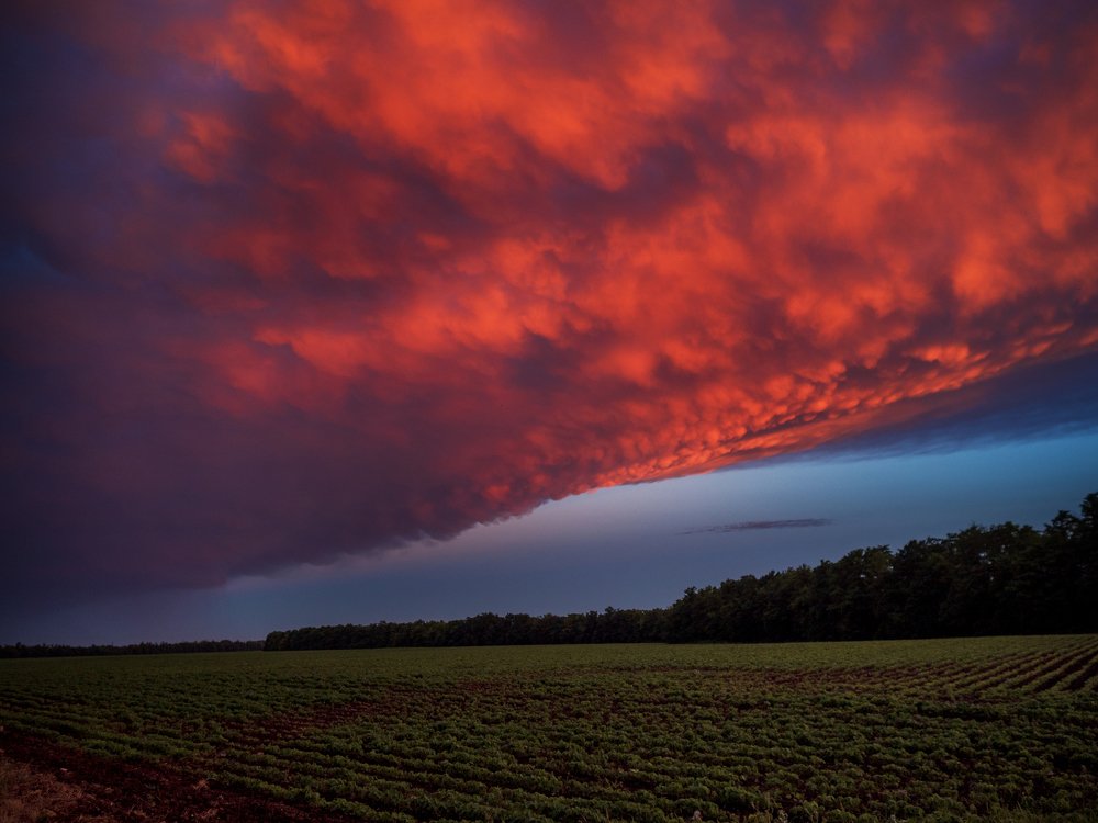Photograph by Пешехонов Дмитрий