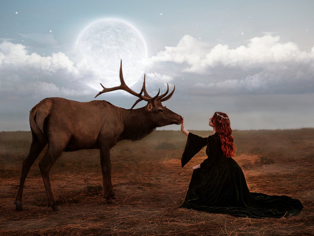 Photograph by Алина Фаизова