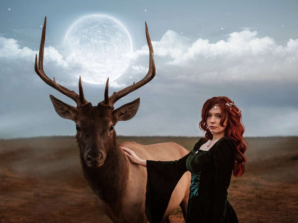 Photograph by Алина Фаизова