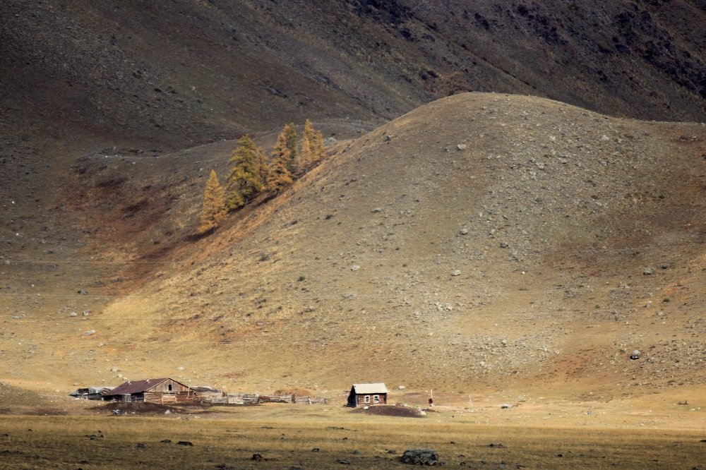 Фотография автора Елена