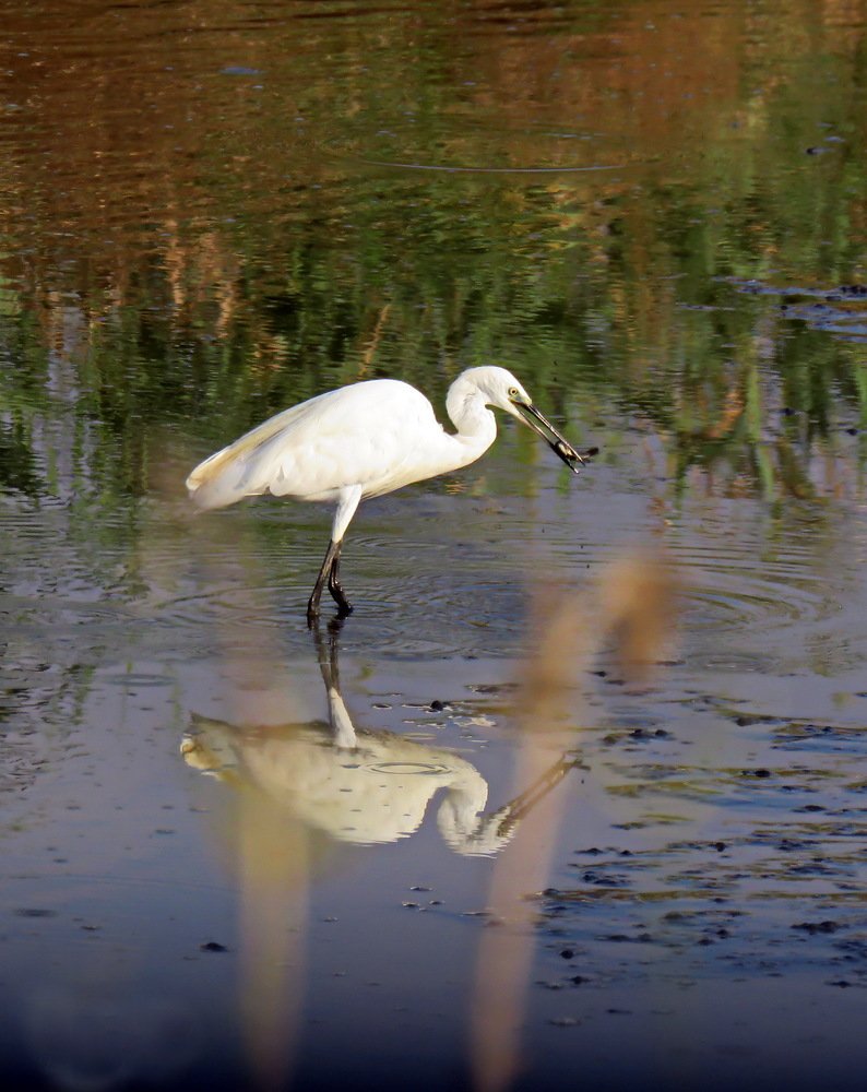 Photograph by Николай Волков
