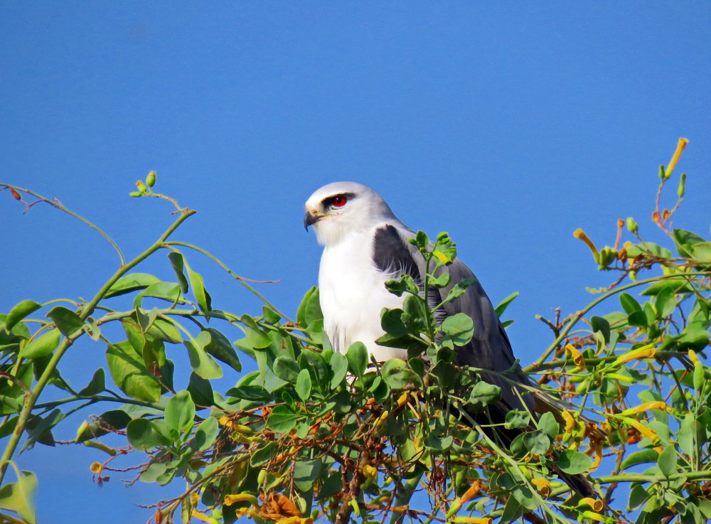 Photograph by Николай Волков