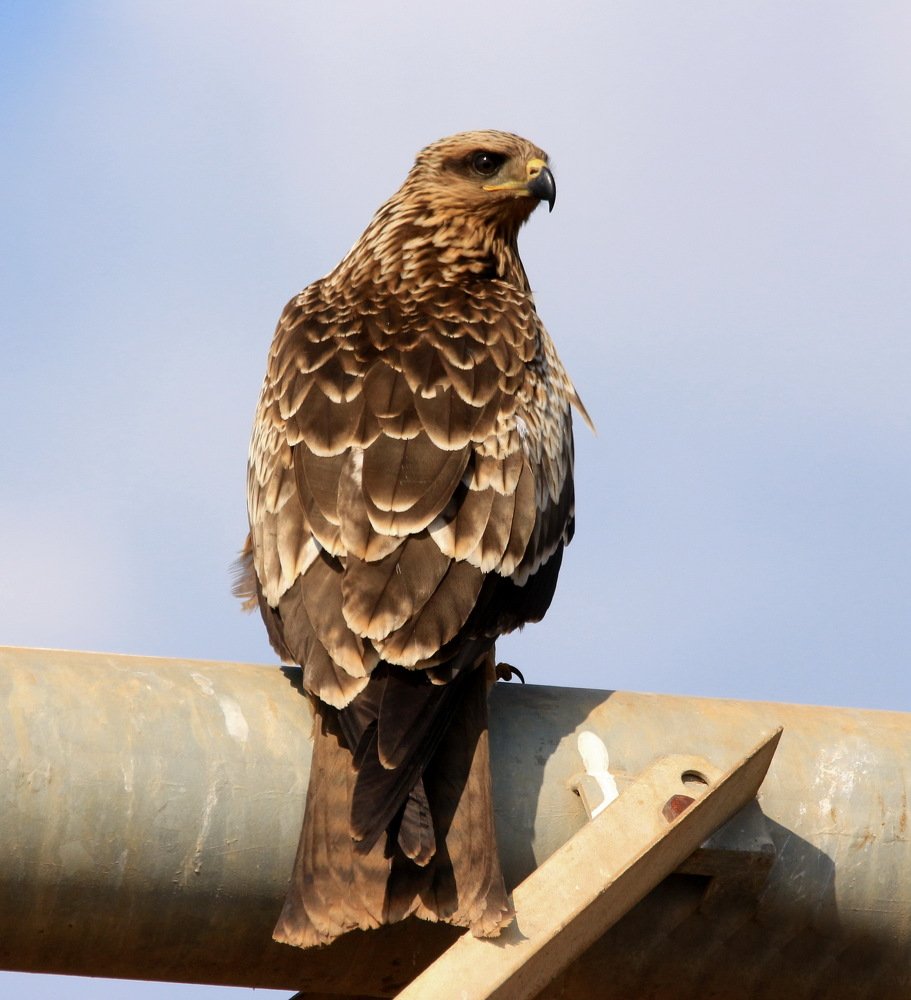 Photograph by Николай Волков