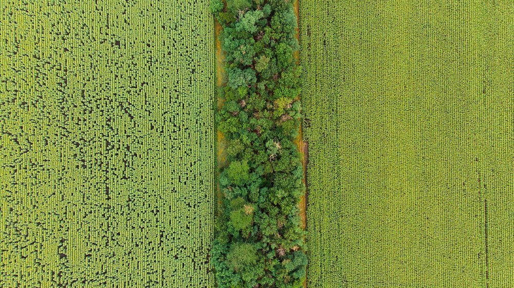 Photograph by Пешехонов Дмитрий